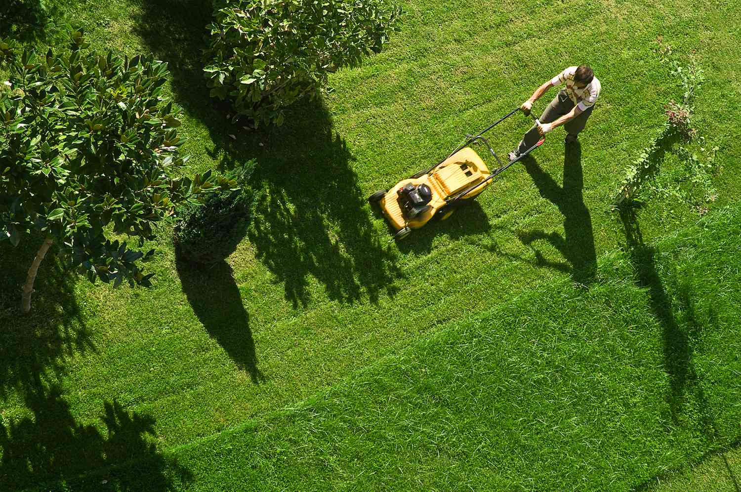 Lawn Mowing Tips: Cutting Your Grass the Right Way